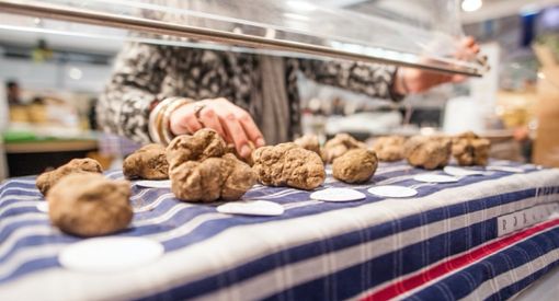 Fiera del Tartufo ad Alba: autorità nazionali e locali "in passerella" per l'inaugurazione