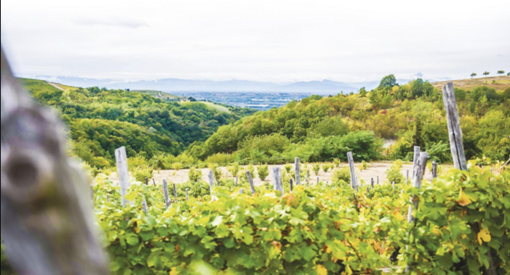 A Murazzano si presenta il libro "Legami di Terra"