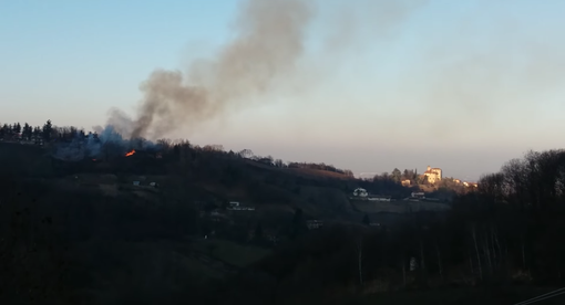 Frame tratto dalla pagine Manta News