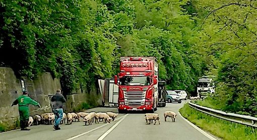 Il luogo dell'incidente