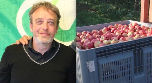 Il direttore di Cia Cuneo, Igor Varrone, e la raccolta delle mele