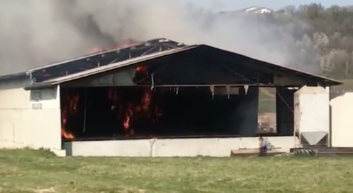 A fuoco un fienile in località Moriglione di Novello, coinvolti degli animali (VIDEO)
