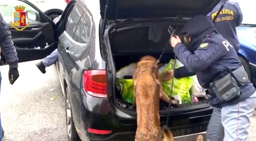 Piastrellisti e spacciatori, nascondevano la cocaina nei boschi attorno a Cuneo: arrestati Piastrellisti e spacciatori, nascondevano la cocaina nei boschi attorno a Cuneo: arrestati