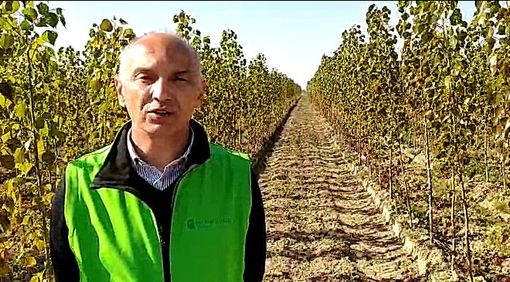 Enrico Allasia: “Adesso serve accelerare la ripresa e una maggiore semplificazione della burocrazia” Enrico Allasia: “Adesso serve accelerare la ripresa e una maggiore semplificazione della burocrazia”