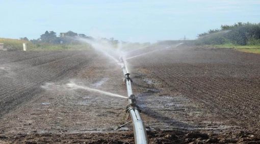 Coldiretti Piemonte: "Scarsità piogge sud Piemonte, necessarie le irrigazioni di soccorso”