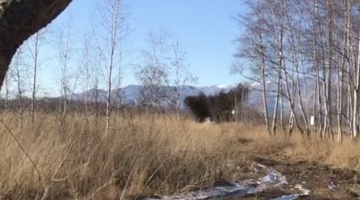 Militari fossanesi bonificano la bomba d'areo di 100 chili trovata a Caselle Torinese