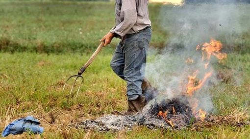 Combustione dei residui vegetali colturali, derogato per cinque giorni il divieto nel comune di Melle