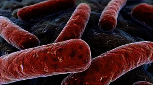 Lezioni Unitre a Cuneo sulla tubercolosi: una malattia antichissima ancora molto diffusa nel mondo