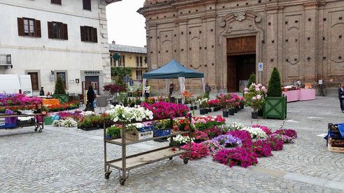 Barge saluta il ritorno di "Un giorno in fiore"