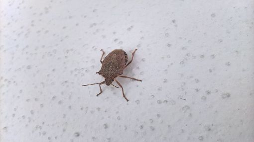 Foto generica Foto generica