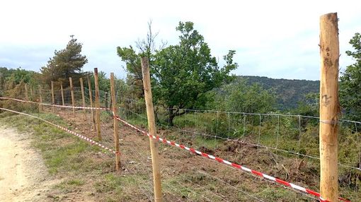 Danni all'agricoltura e indennizzi: "Oltre il danno la beffa!"