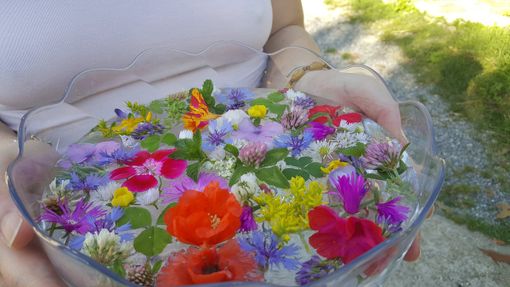 Acqua di San Giovanni e una tradizione che si rinnova: ecco come e quando prepararla