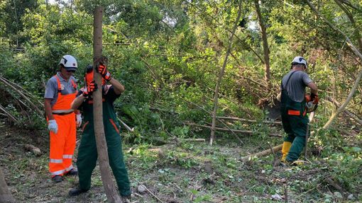 Nuovo direttivo per la Protezione Civile di Cherasco. Ai volontari il ringraziamento del sindaco Bogetti Nuovo direttivo per la Protezione Civile di Cherasco. Ai volontari il ringraziamento del sindaco Bogetti