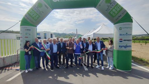 Cherasco, il noccioleto si trasforma in fiera: successo per la prima edizione di “Prove in campo” [GALLERY E VIDEO]