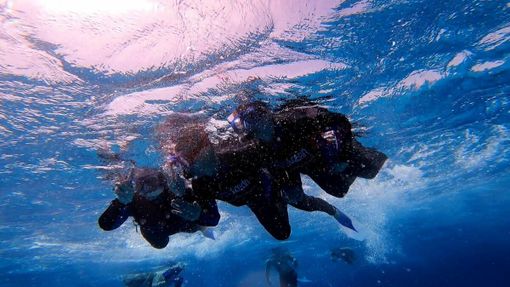 Cuneesi pronti a partire per le vacanze di Natale, ma senza last minute Cuneesi pronti a partire per le vacanze di Natale, ma senza last minute