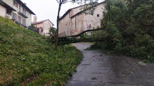 MALTEMPO / Forti raffiche di vento, alberi caduti e grandine dal Saluzzese al Braidese MALTEMPO / Forti raffiche di vento, alberi caduti e grandine dal Saluzzese al Braidese
