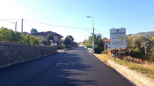 Nella foto un particolare dei lavori eseguiti