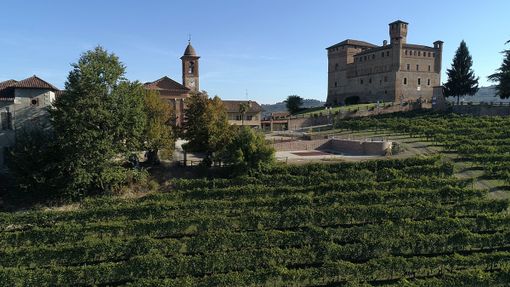 Panoramica su Grinzane Cavour (Foto Bruno Murialdo)