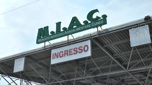 Prorogato al 29 agosto il termine per la presentazione delle candidature al Cda del M.I.A.C. Prorogato al 29 agosto il termine per la presentazione delle candidature al Cda del M.I.A.C.