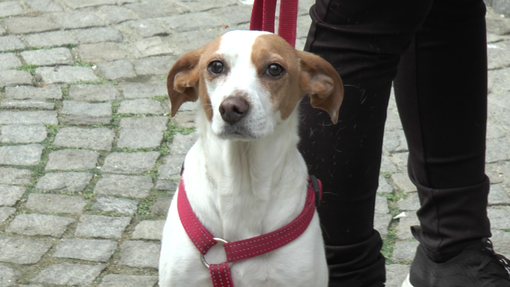 Immagine di repertorio