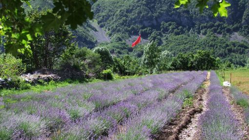 Abitare la montagna: sostenibilità, relazioni e qualità della vita. Il bando a sostegno delle filiere Abitare la montagna: sostenibilità, relazioni e qualità della vita. Il bando a sostegno delle filiere