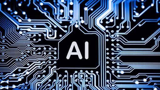 Gli argomenti più ricercati online