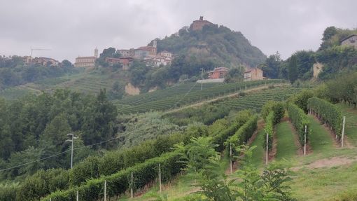 A Monteu Roero si prepara la 54° Sagra della Castagna: "Una vetrina per la comunità" [VIDEO]