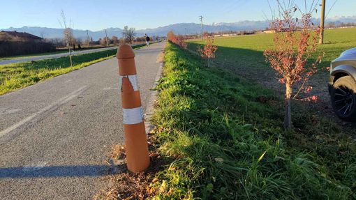 Moretta: nuove siepi e alberi lungo il chilometro fiorito