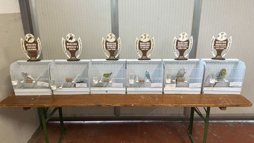 Una foto di repertorio dell'Associazione Ornitologica Cuneese Una foto di repertorio dell'Associazione Ornitologica Cuneese