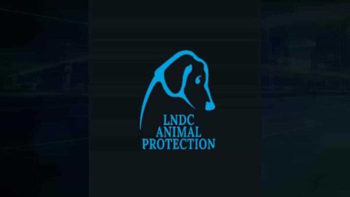 Cagnolina impiccata nel Monregalese, la denuncia di LNDC Animal Protection: "Chi sa parli"