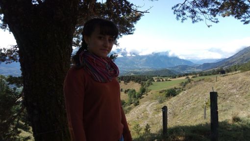 Un progetto di nome"Transalp" per spiccare il volo