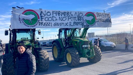Agricoltori della Granda pronti a sfilare a Cuneo: "Lavoriamo in perdita, il nostro settore sta morendo"
