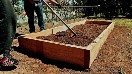 Cuneo, al parco fluviale continuano gli appuntamenti con "Innesti solidali"