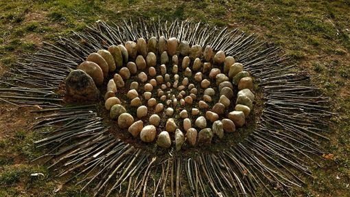 Volontari del Corpo A.I.B. del Piemonte impegnati in Puglia