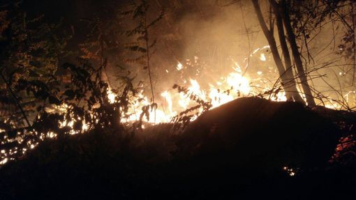 L'incendio in via Ripoira di mercoledì sera (alcune foto sono tratte dalla pagine della Guardia nazionale Aeza di Barge) L'incendio in via Ripoira di mercoledì sera (alcune foto sono tratte dalla pagine della Guardia nazionale Aeza di Barge)