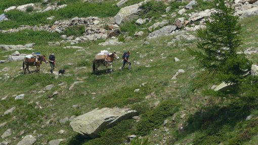 Una serata “nella terra dei muli” per offrire dieci borse di studio a giovani