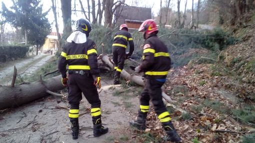 L'intervento dei Vigili del fuoco a Martiniana Po L'intervento dei Vigili del fuoco a Martiniana Po