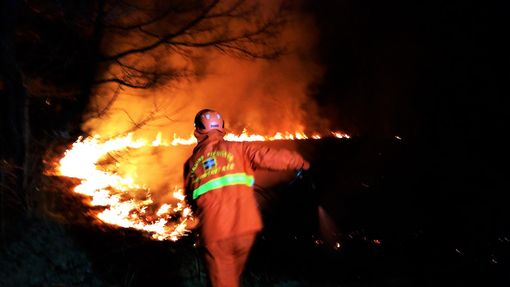 Immagine di repertorio