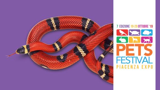 Vieni a conoscere rettili e anfibi a Petsfestival 2019 Vieni a conoscere rettili e anfibi a Petsfestival 2019