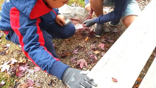 Oltre mille gli allievi delle scuole primarie coinvolti nella prima edizione dell'iniziativa