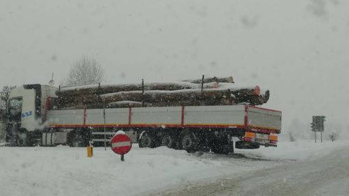 Camion bloccato allo svincolo per Vignolo sulla provinciale 422 Cuneo-Caraglio Camion bloccato allo svincolo per Vignolo sulla provinciale 422 Cuneo-Caraglio