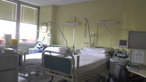 14mila donatori di midollo osseo tipizzati dal centro trasfusionale di Cuneo in 24 anni: tra i primi 10 in Italia (VIDEO) 14mila donatori di midollo osseo tipizzati dal centro trasfusionale di Cuneo in 24 anni: tra i primi 10 in Italia (VIDEO)