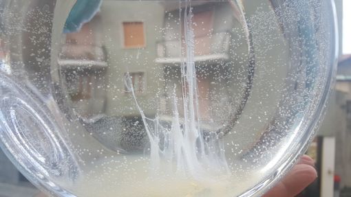 Barca di San Pietro: ecco come e perché si prepara la notte tra il 28 e il 29 giugno Barca di San Pietro: ecco come e perché si prepara la notte tra il 28 e il 29 giugno