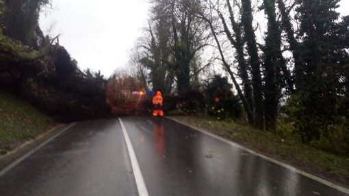 Immagine di repertorio