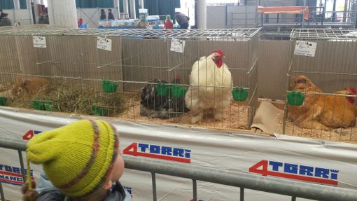 Immagine di repertorio