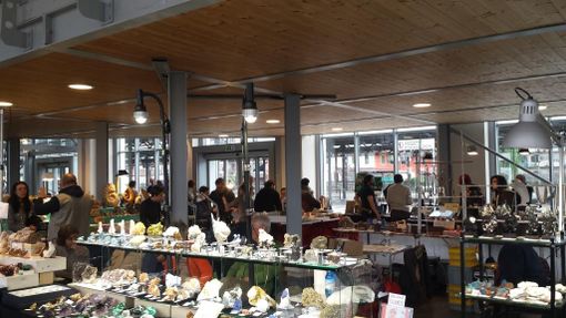 GeoBra 2018: minerali, fossili e reperti in mostra