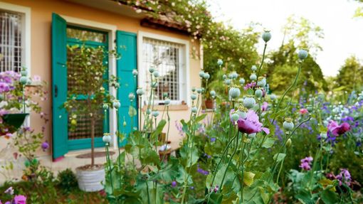 A Mondovì si presenta il libro "Diario di un giardiniere anarchico" A Mondovì si presenta il libro "Diario di un giardiniere anarchico"