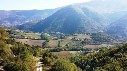 Il Tar del Lazio sospende il pagamento dell’Imu sui terreni agricoli oltre i 600 metri di quota