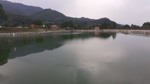 Invasi in provincia di Cuneo: "Non siano solo oggetto di propaganda, ma anche di programmazione"