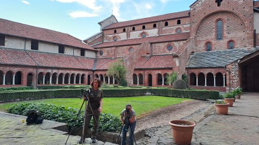 In corso il monitoraggio annuale della colonia dei pipistrelli all'Abbazia di Staffarda